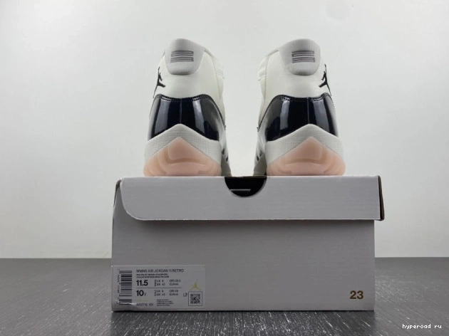 AR0715-101 11 Neapolitan Jordan Air 1119